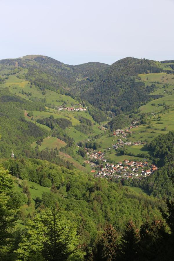Hotel Kirchbuehl Im Schwarzwald Hotel Schönau im Schwarzwald Екстериор снимка